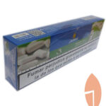 Molaza Chicl- Menta(10x50gr.)