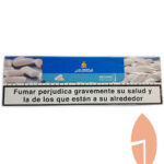 Molaza Chicle (10x50gr)