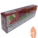 Molaza Sandía Menta(10x50gr.)